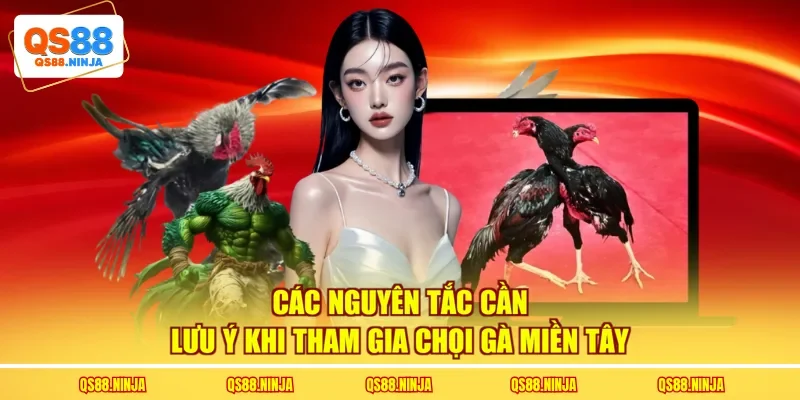 Các nguyên tắc cần lưu ý khi tham gia chọi gà miền Tây