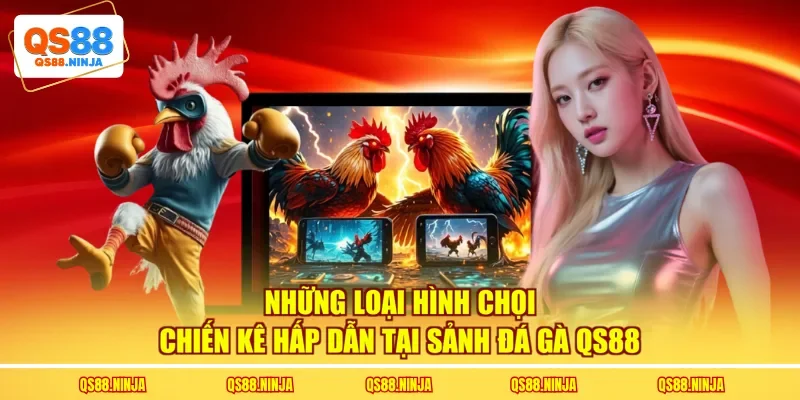 Những loại hình chọi chiến kê hấp dẫn tại sảnh đá gà Qs88