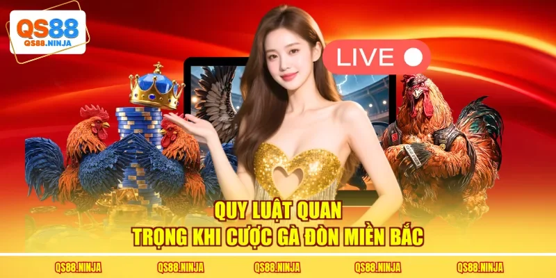 Quy luật quan trọng khi cược gà đòn miền Bắc