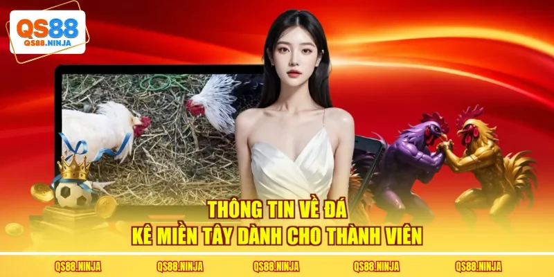 Thông tin về đá kê miền Tây dành cho thành viên